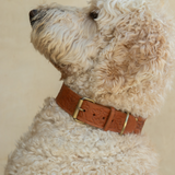 Sumba Collar // Vintage Tan