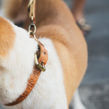 Island Collar // Palms Vintage Tan