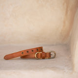 Collar // Chestnut Antq