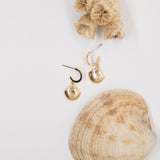 Shell Hoops // Gold