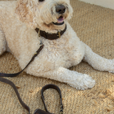 Sumba Collar // Vintage Brown