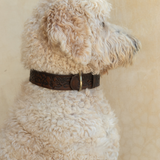 Sumba Collar // Vintage Brown