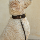 Sumba Collar // Vintage Brown