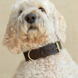 Sumba Collar // Vintage Brown