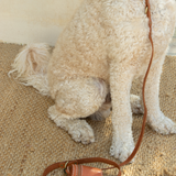 Sumba Lead // Vintage Tan