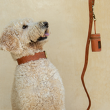 Sumba Collar // Vintage Tan