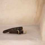 Collar // Cocoa
