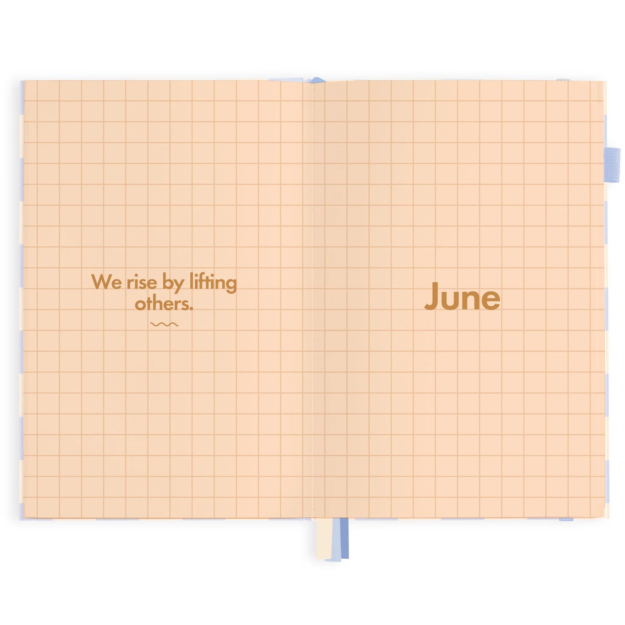 2024 Blue Check Planner by Pigment