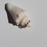 Illy Ring // Gold