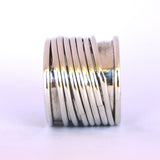 Seven Spins Ring // Silver